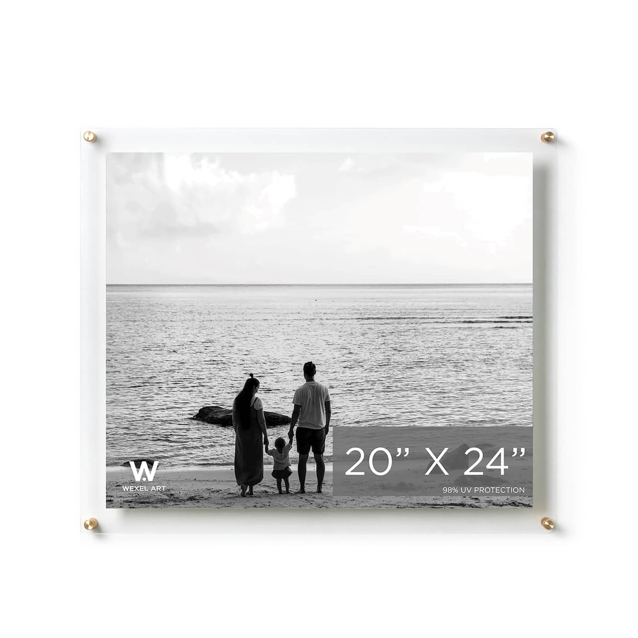 Wexel Art Double Panel Clear Acrylic Floating Wall Frame with Gold Hardware